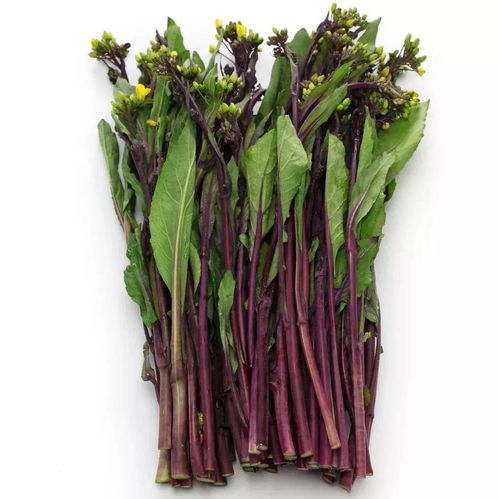 别再迷信柠檬补VC！这20种食物含量更高，榜首竟是芸苔属蔬菜