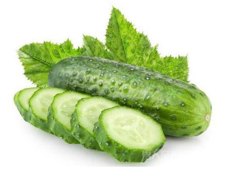 解“凉”识“菜” 芸苔属蔬菜中的凉性成员与食养之道